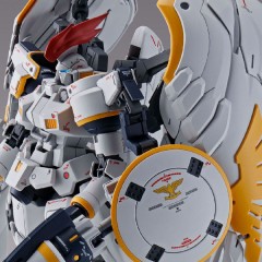 PB 万代模型 MG 1/100 多鲁基斯F EW